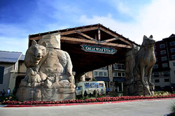 The Great Wolf Lodge, Grapevine, TX Luxury Bus Rentals